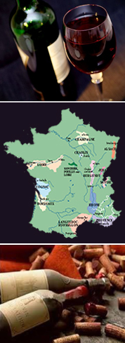 Les Samedis Découvertes - dégustation de vins - 2019 2020